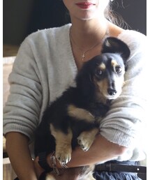 GAP | ニット/セーター