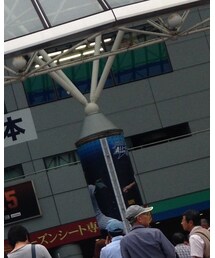 UNIQLO | パーカー