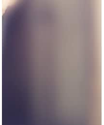 KARL HELMUT | シャツ/ブラウス