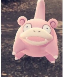 ヤドン | おもちゃ