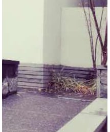 ZARA | タイツ/ストッキング