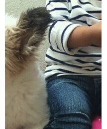 UNIQLO | トップス