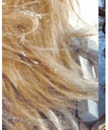 チューバッカ | その他