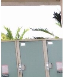 WEGO | Tシャツ/カットソー