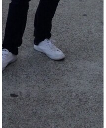 LACOSTE | スニーカー