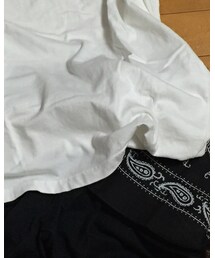 Hollister | Tシャツ/カットソー