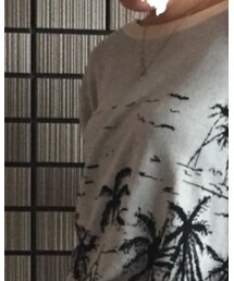 Inpaichthys kerri | Tシャツ/カットソー
