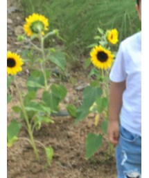 H&M | Tシャツ/カットソー