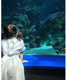 娘 大好きな水族館へ | その他