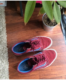 VANS | スニーカー