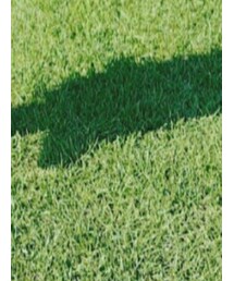 Onitsuka Tiger | スニーカー