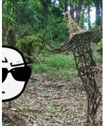 OLD NAVY | Tシャツ/カットソー