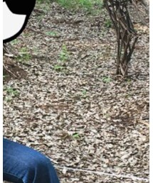 45R | デニムパンツ