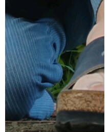 UNIQLO | デニムパンツ