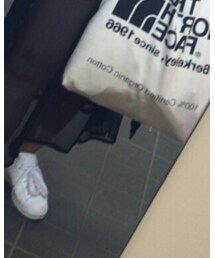 Ray BEAMS | スカート