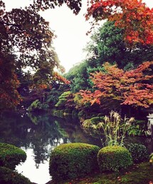 no brand | 兼六園 紅葉 ☆*(その他)