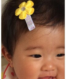 いただきもの | バレッタ/ヘアクリップ