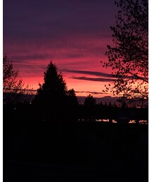 what a beautiful sunset | その他