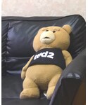 ted | (玩具)