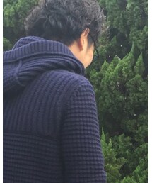 陰毛 | ウィッグ