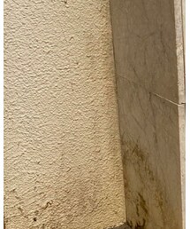 フランクブラック 下北沢 | その他