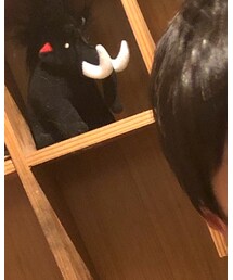 Mammut | キーホルダー