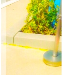 adidas Originals | バッグ