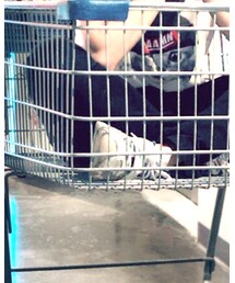 SKECHERS | スニーカー