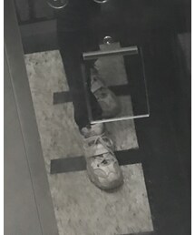 SKECHERS | シューズ