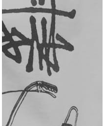 STUSSY | Tシャツ/カットソー