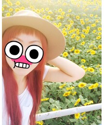 ひまわり畑🌻 | その他
