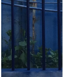 ZARA | チノパンツ