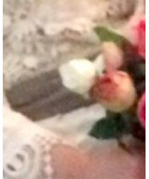 家にあったひも | 家にあったひも(ベルト)