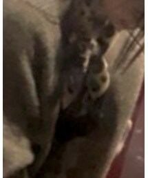 GU | ストール/ショール