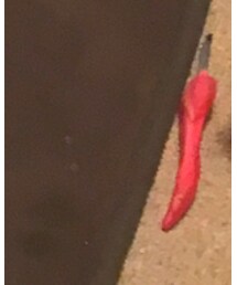 毛ぬき | その他