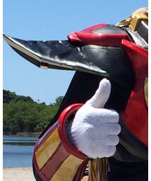 ネイガー | その他