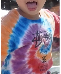 STUSSY | Tシャツ/カットソー