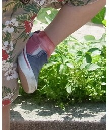 VANS | スニーカー