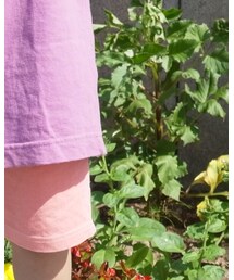 Champion | その他パンツ