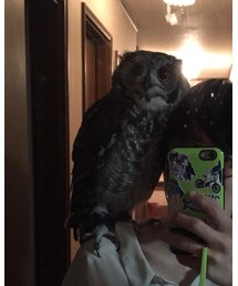 あっぷ! | その他