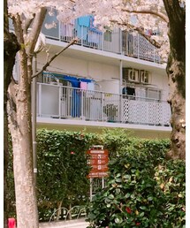 MOUSSY | シャツ/ブラウス