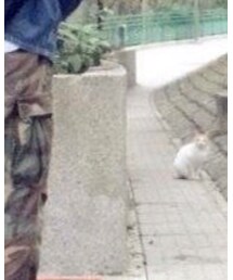 😺 | 雑貨/ホビー