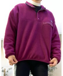 patagonia | 雪無しタグ 90’s(スウェット)