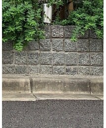 THREADS & THINGS | チノパンツ