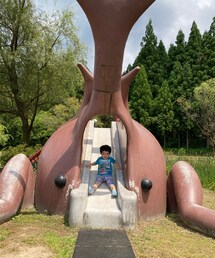 昨日のboy🐤 | 昆虫王国立山(その他)