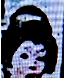 H&M | カチューシャ