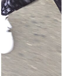 adidas | スニーカー