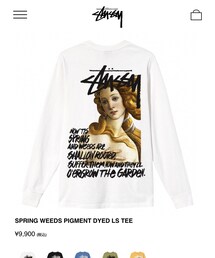 STUSSY | トップス