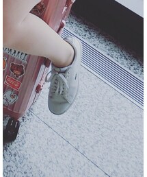 LACOSTE | スニーカー