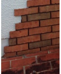 tutuanna | ソックス/靴下